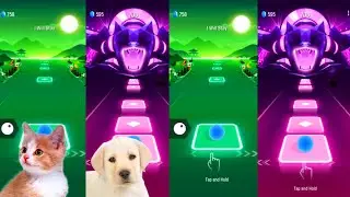 Tiles hop EDM Rush   Ginger cat vs Cute dog on Ball Games channel