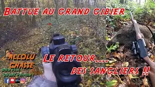 Chasse en battue, Le Grand retour des Sangliers !!