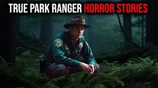 4 NEW Most Disturbing TRUE Park Ranger Horror Stories – Rain Sounds