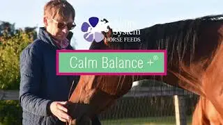 Forage Balancers from Simple System