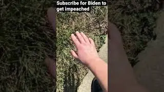 Gamer touches grass for first time. Then what happens next is shocking😱&hellip;