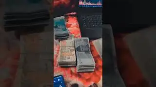 #metaforce #nft #blockchain #dollar #crypto #sfc
