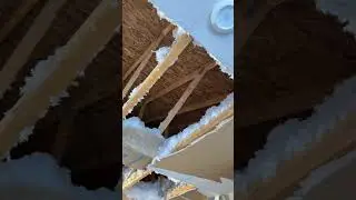 SERIOUS Water Damage In Residential Home!