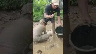 NGURAS DI BELAKANG RUMAH KOSONG😲⁉️ngerih tapi sedapp