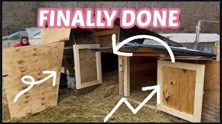 Now No Worries About PREDATORS or Winter #Animals #Goat #Subscribe  