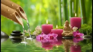 Nature Sounds & Relaxing Music for Deep Sleep 🌙 Stress Relief, Healing & Calm Mind