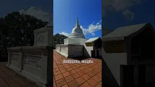 Sri Sankapala Rajamaha Viharaya IV☸️🙏🪷🛕🌄✨| ශ්&zwj;රී සංඛපාල රජමහා විහාරය #shorts