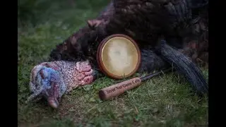 2021 Massachusetts Spring Turkey hunt
