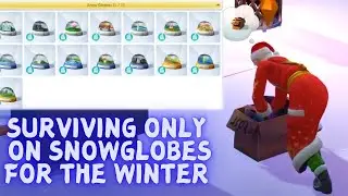 Trying to Survive only on Snow Globes for the Winter