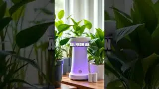 Unboxing the Smart Plant Care System with AI Monitoring