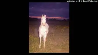 *free* 15drtt + che + tana + xtsy type beat (ig- @15drtt)