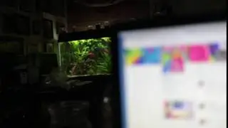 Canon 5D Mark IV pull focus sample with touchscreen setting on 