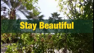Stay Beautiful
