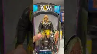 I Found AEW Wrestling Action Figures at Ross for $3.99! #wcw #wwf #toyhunt #christmas