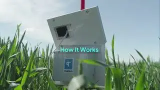 Real-time Nitrogen Uptake Monitoring