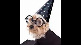 MLG WIZARD-WTF