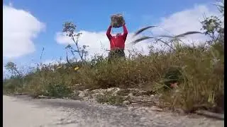 overhead strict pressing a rock