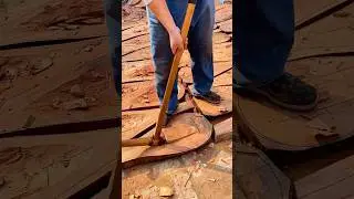 Making Pipa: A traditional Chinese plucked string instrument with bright tone and rich techniques