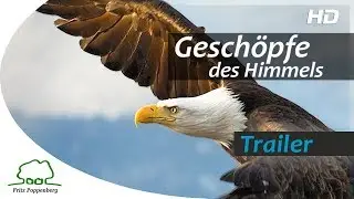GESCH&Ouml;PFE DES HIMMELS - Offizieller Trailer - deutsch