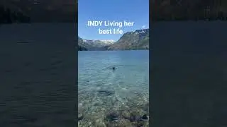 #livingyourbestlife