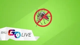 BALI'S DENGUE PREVENTION STEPS #BaliGoLiveOfficialUpdtate