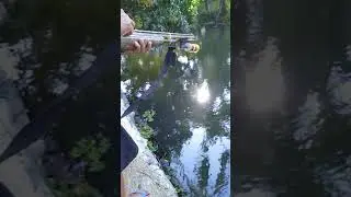 My uncle's first time to hunt fish.