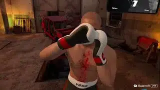 boxing underdog multiplayer