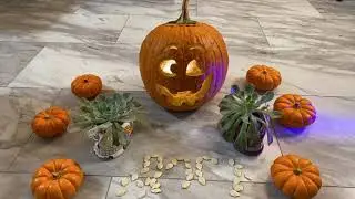 Halloween Fun (Animation) 万圣节好玩儿 (动画）