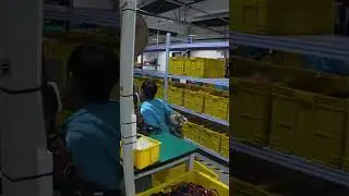 Best Custom Cable & Wire Harness Manufacturer​​
