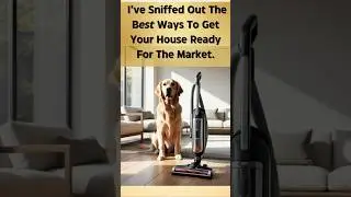 How to Get Your House Market-Ready in Stamford, Connecticut (Without the Dog Smell!)