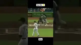 What a Catch&hellip;#baseball#woah #perfect#trending