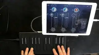 iFretless Bass - How To Set Up For MPE Control Using A Seaboard Block
