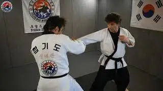 Séminaire Hapkido avec la Team KMA (Korean Martial Arts)