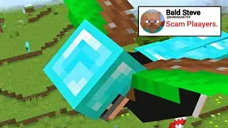 I Tried your MONEY Making Methods in Donut SMP