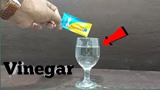 Vinegar Vs fevikwik | Fevikwik and vinegar experiment | vinegar experiment | fevikwik experiment