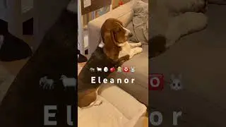 Write your name using emojis #dog #trend #shorts #ytshorts #cute