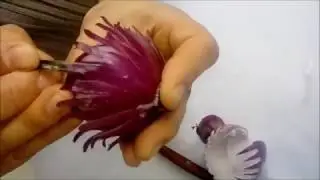 A.B.Carving - Onion flower tutorial - How to make easy flower from red onion
