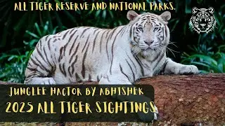 2025 all tiger sighting all national park and tiger reserve ..