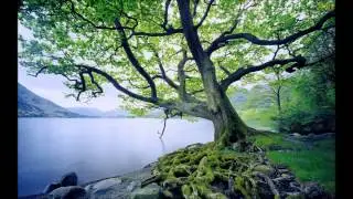 Die Forelle - A Truta - Franz Schubert