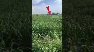 Premium property for investment near noida airport