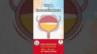 Urinary Incontinence in Men & Women | Stress,Urge,Overflow,Mixed Explained Urology | Awareness Video