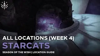 All Starcat Locations (Week 4) [Destiny 2]