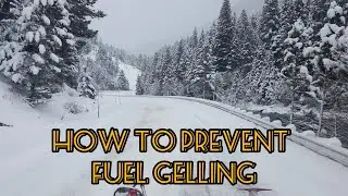 How to Prevent Fuel Gelling