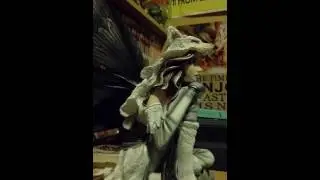 Sam Beam & Jesca Hoop Cover - Know The Wild That Wants You