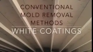 Making Mold Stains Virtually Disappear