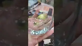 Whiskey unboxing video #freeproducts #freeglass#viral #trending