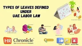 UAE Labor Law: Types of Leaves Explained | HR Chronicle Guide for HR & Employers