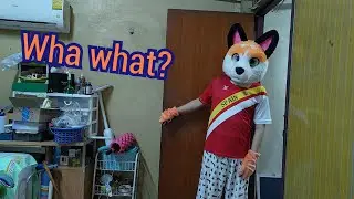 Wha what?
