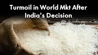 How India's ban on white rice export could create a food crises across the world | Money9 English