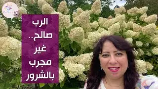 الرب صالح وللأبد رحمته   د  نعمات موافي